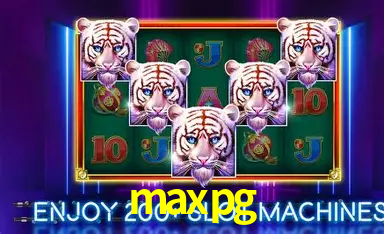 Flash Promotion maxpg